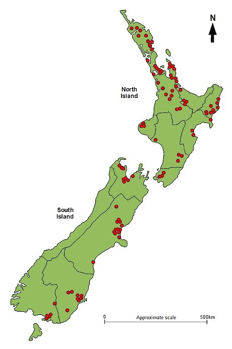 Location of planted stands of native trees and shrubs assessed by Tāne’s Tree Trust.